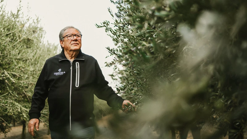 guida alla degustazione pietro leone evidenza