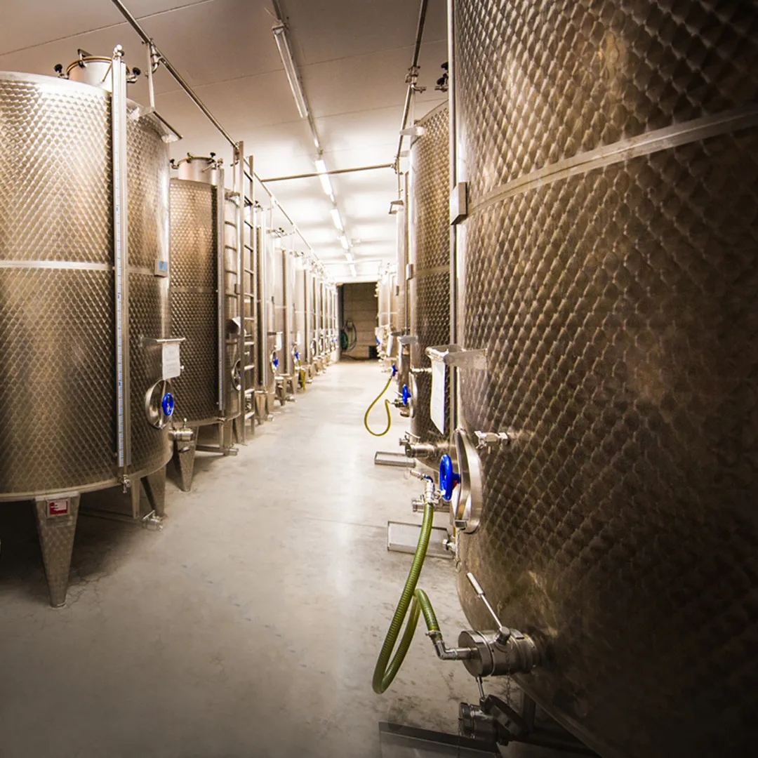 oleificio cericola dalla raccolta all olio denocciolato stoccaggio